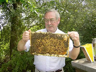 Imker mit Honigwabe